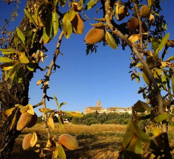 Hostal Can Barrina Арнес Экстерьер фото
